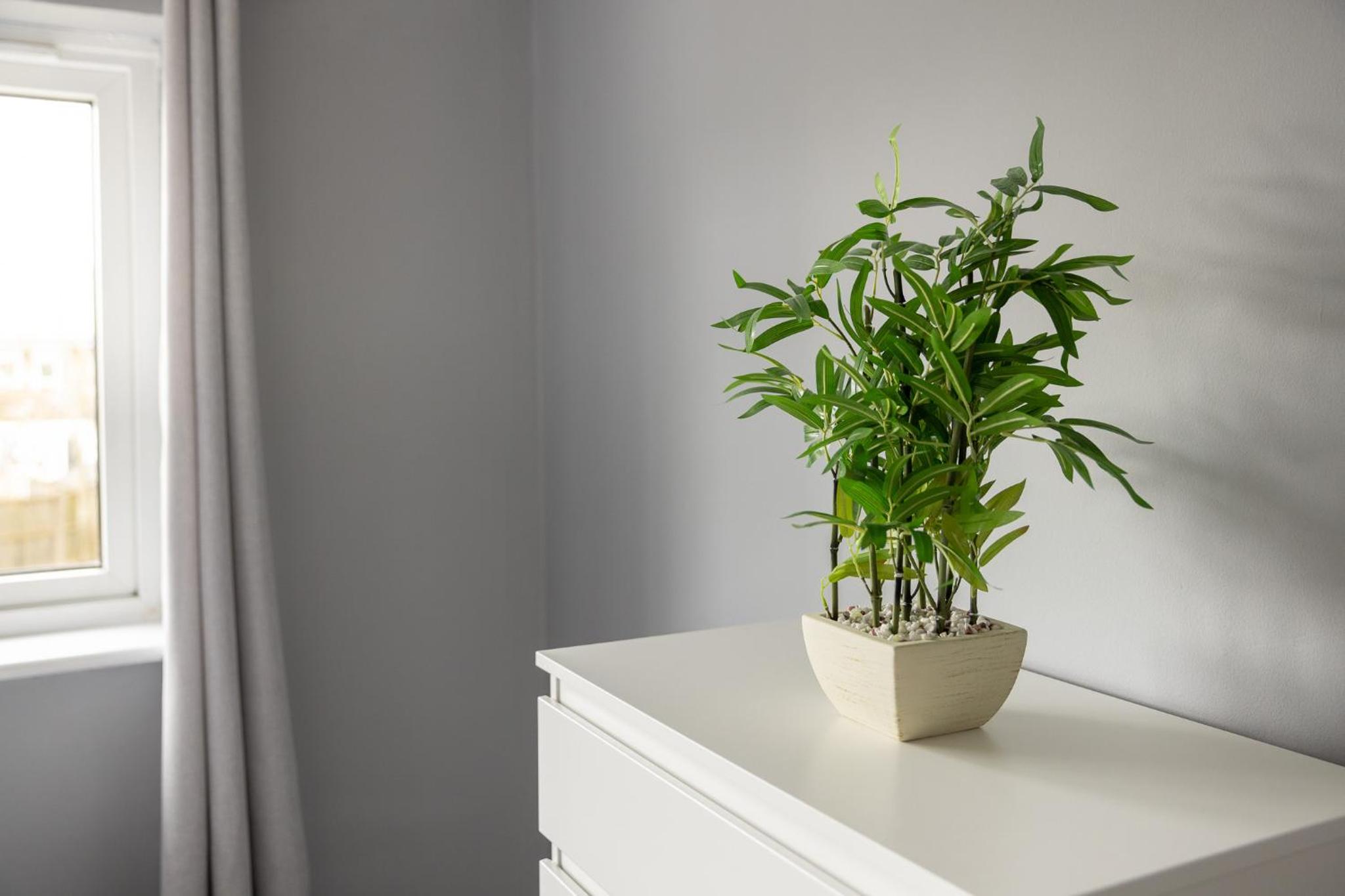The Kilnwood House - 3 Bed w Free Parking and Fast WiFi - Contractor Ready view 5