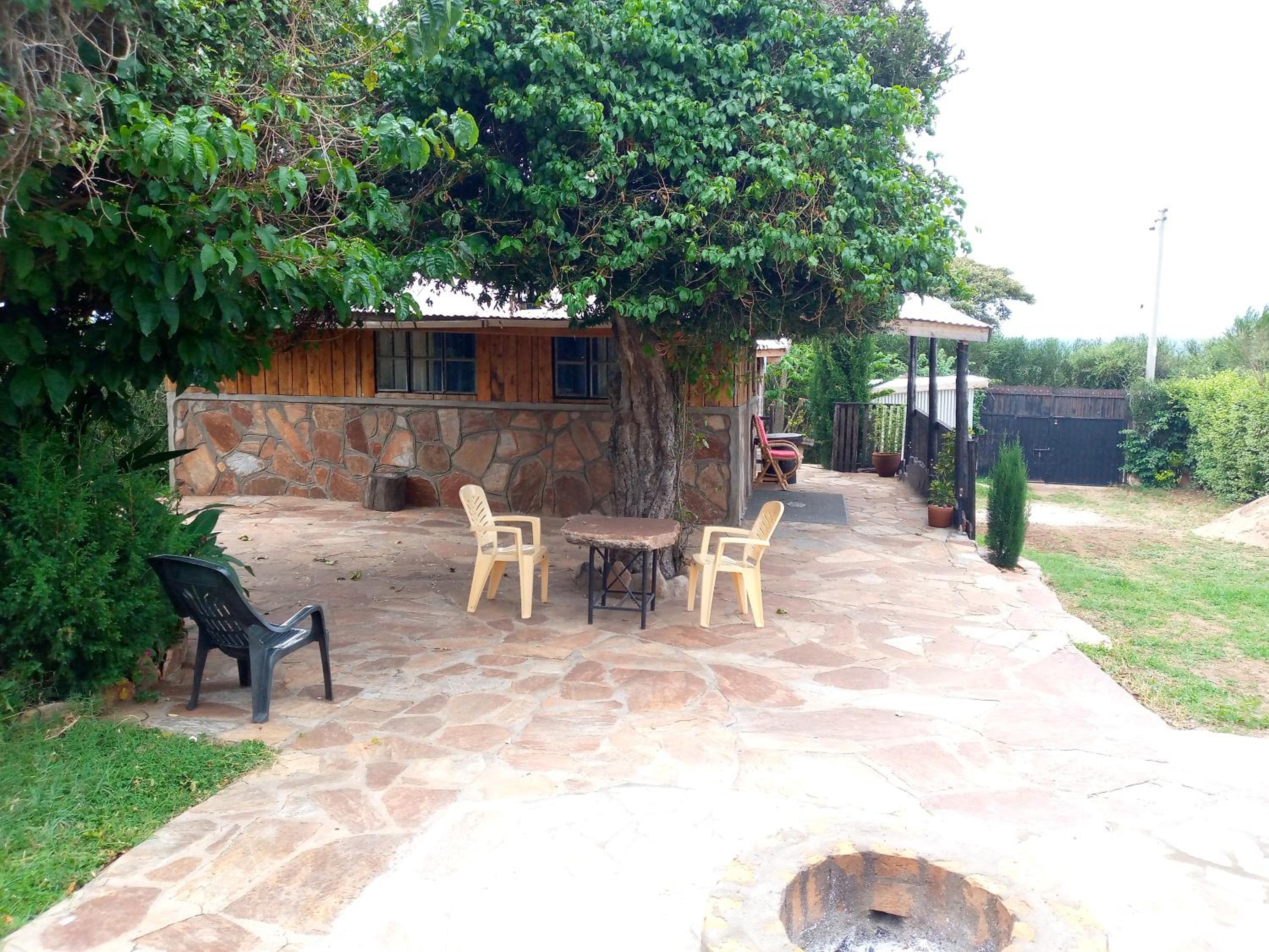 Photo 6
