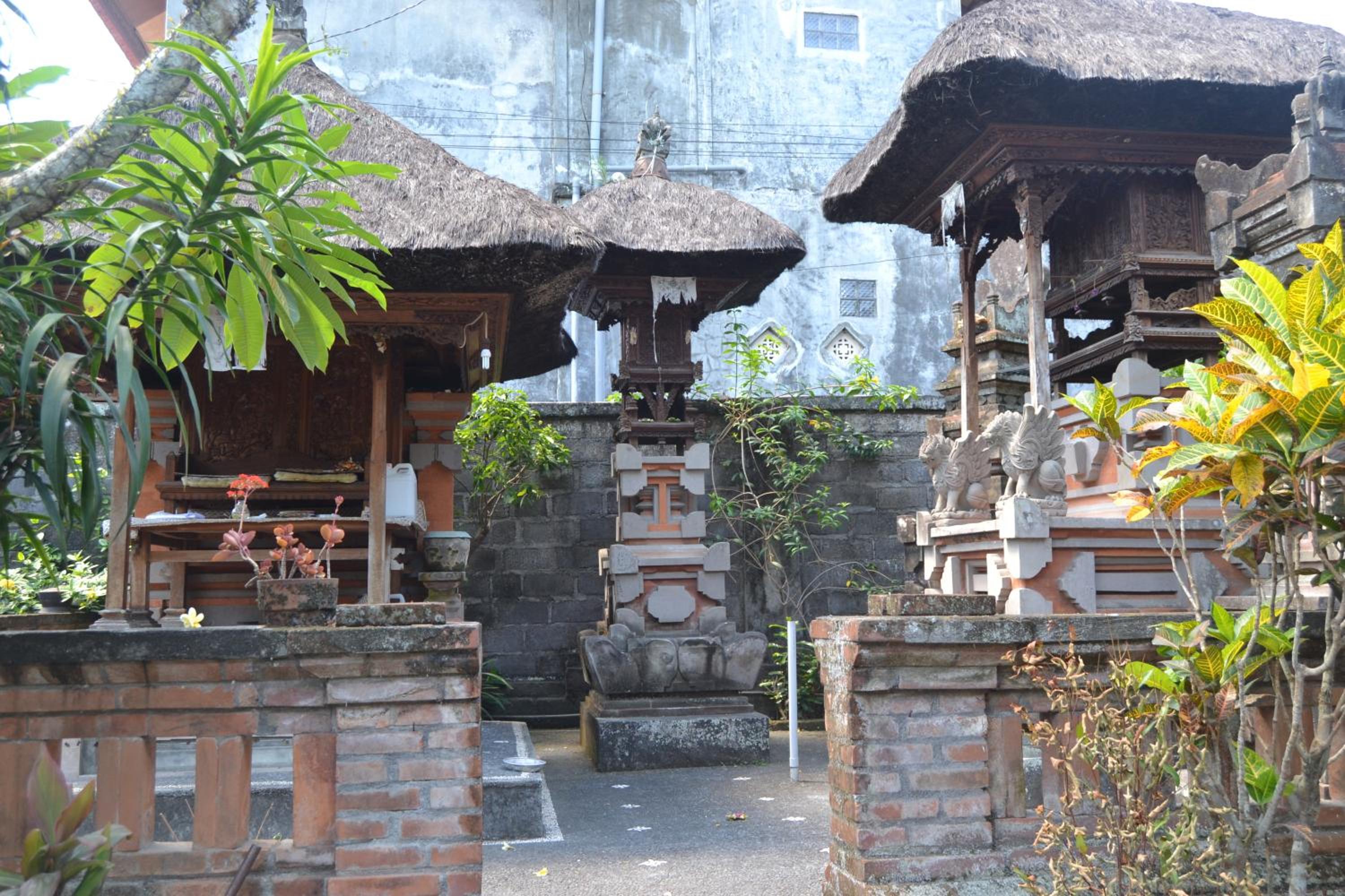 Photo 44