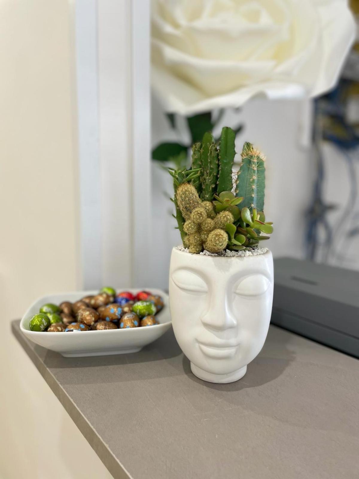 Solaris Wellness Paestum