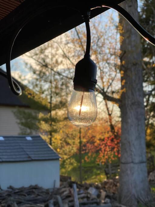 Entire Cozy Cottage. Glamping, Hot tub & Kayak