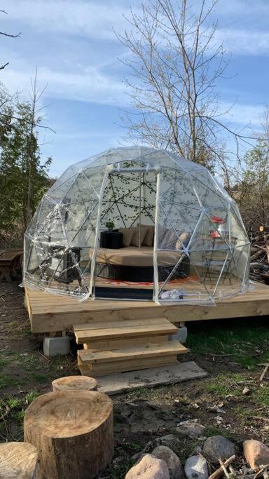 Entire Cozy Cottage. Glamping, Hot tub & Kayak