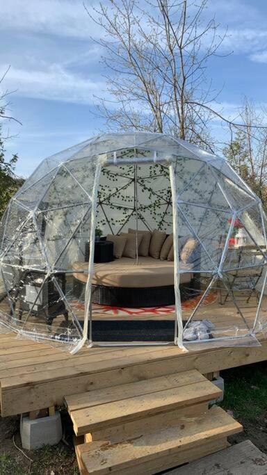 Entire Cozy Cottage. Glamping, Hot tub & Kayak