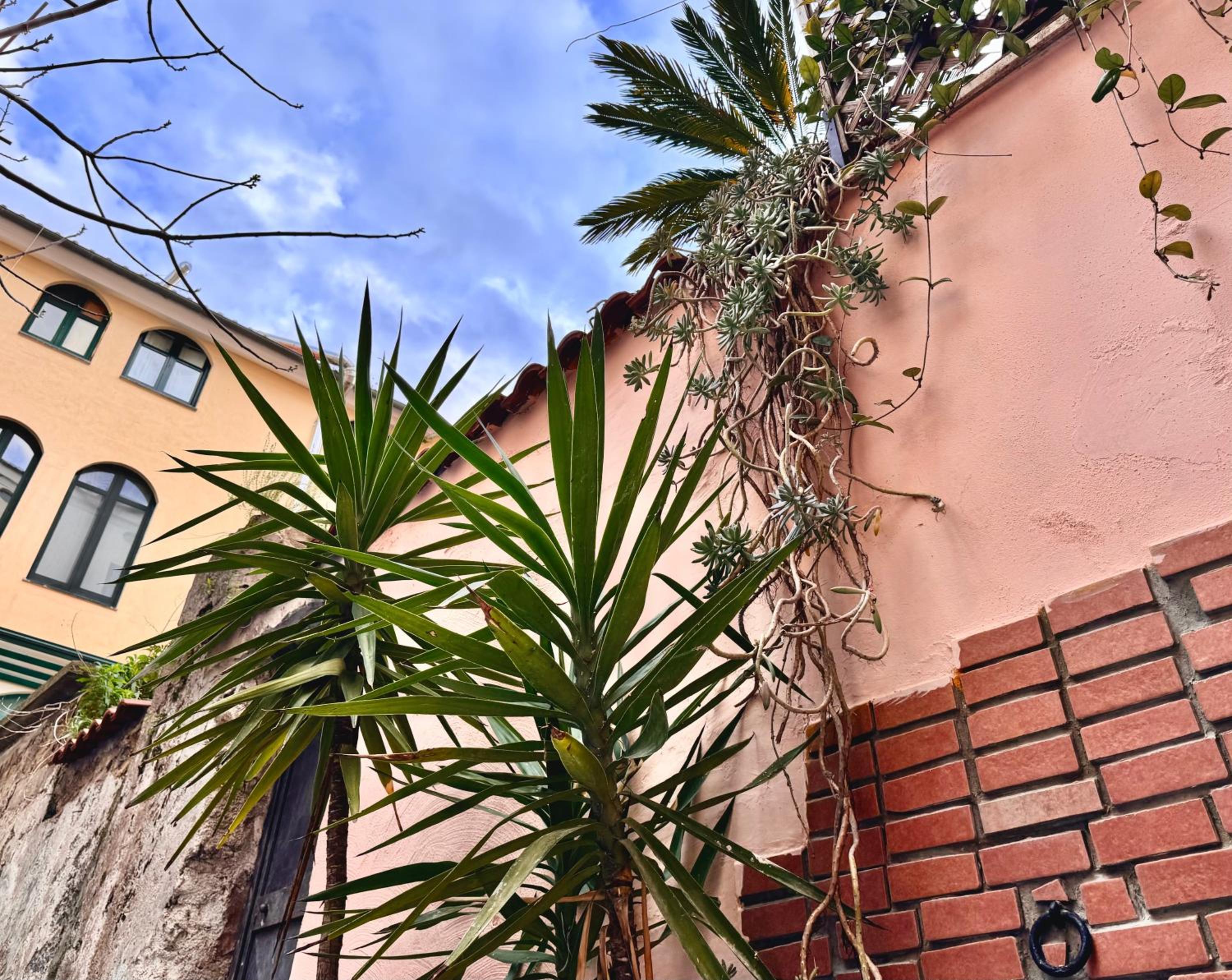 Casa vacanze Hippocampus view 5