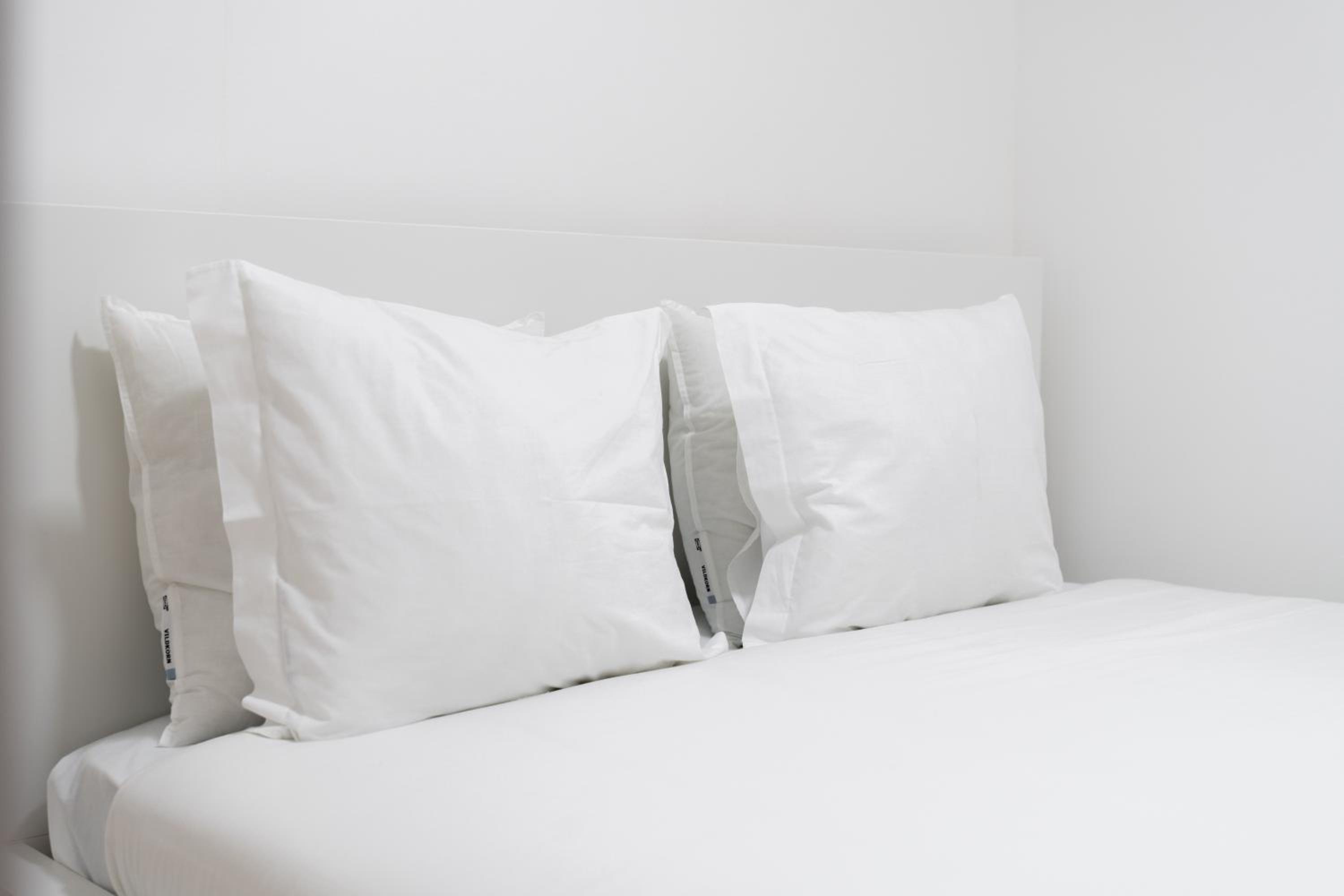 Cozy Bohemian Flat- Berry view 4