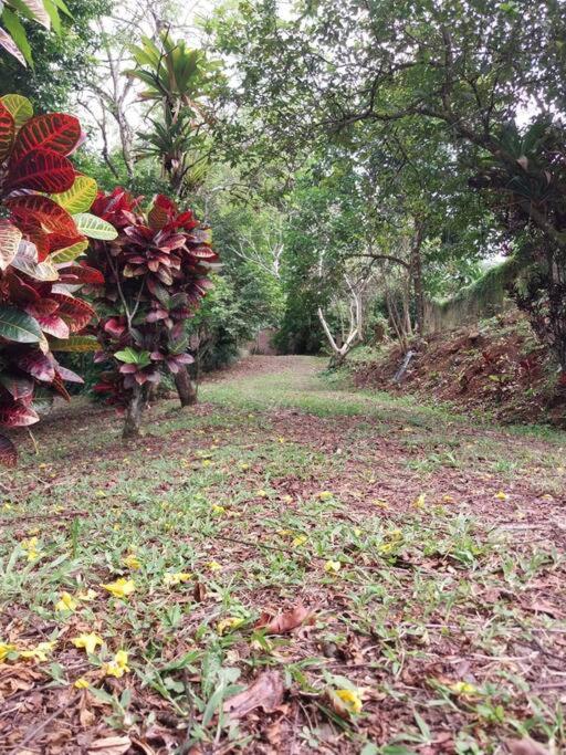 Quinta Elisyum, con Piscina y Rancho