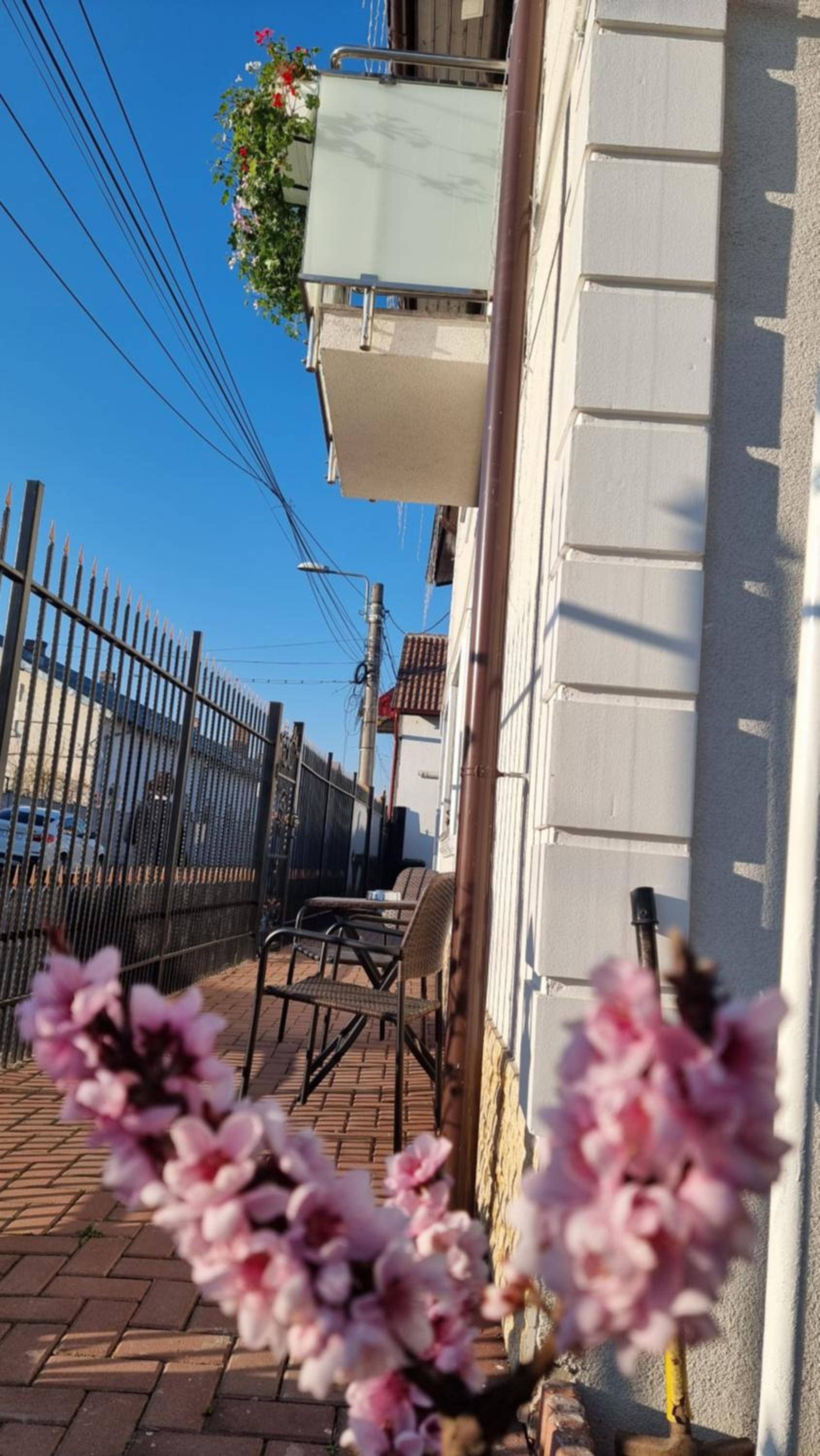 Casa Petcu