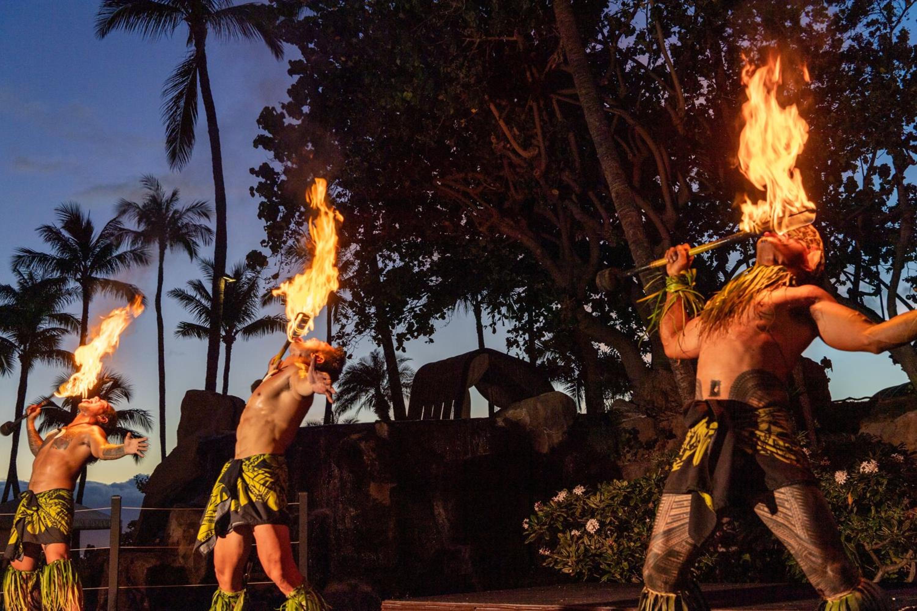 The Westin Maui Resort & Spa, Ka'anapali 191