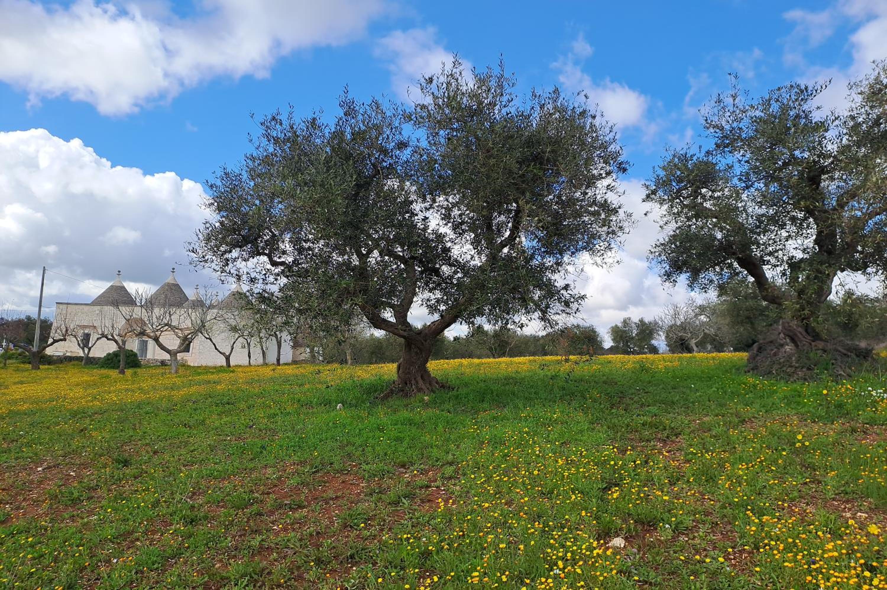 Trulli Carlo Anna view 5