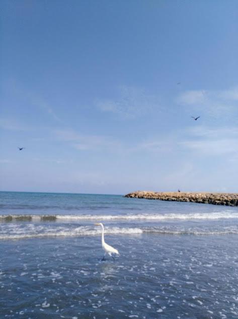 Cartagena más cómoda y económica