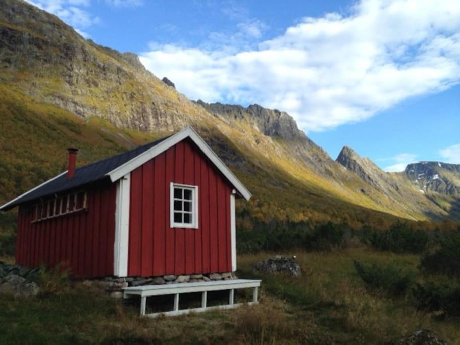 Pålgarden
