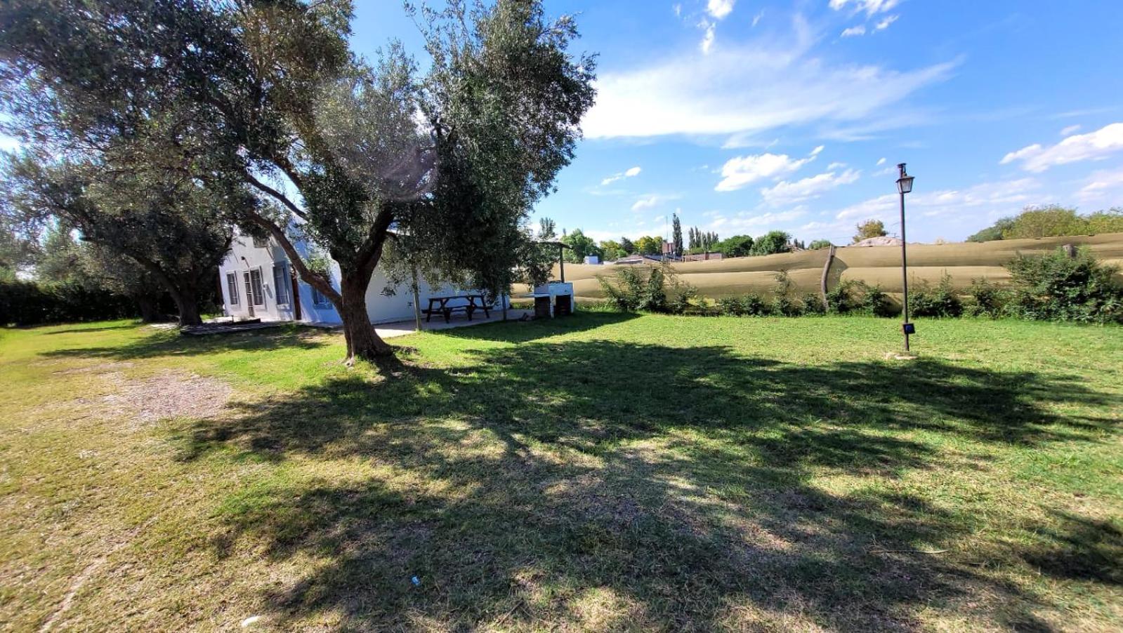 TRES OLIVOS