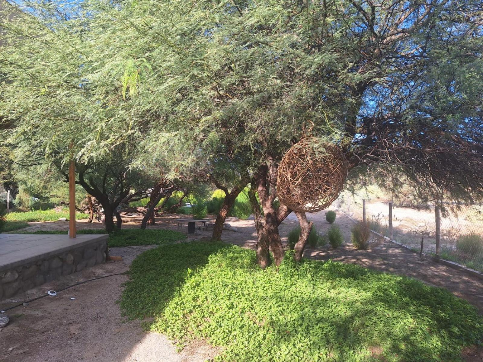 CASA PARA 10 PERSONAS, CAFAYATE