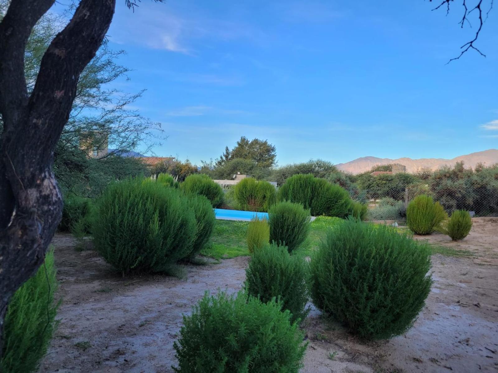 CASA PARA 10 PERSONAS, CAFAYATE