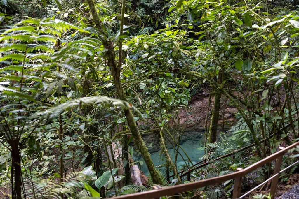 Cabañas Caeli, El Congo, La Fortuna Rainforest Glass Cabin w Suite
