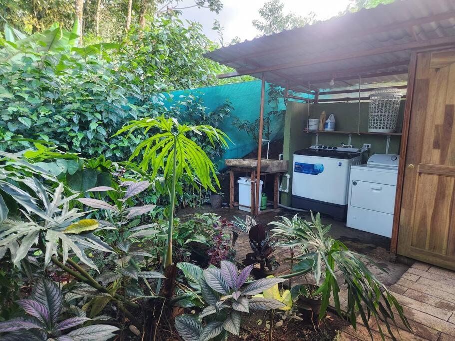 Cabañas Caeli, El Congo, La Fortuna Rainforest Glass Cabin w Suite
