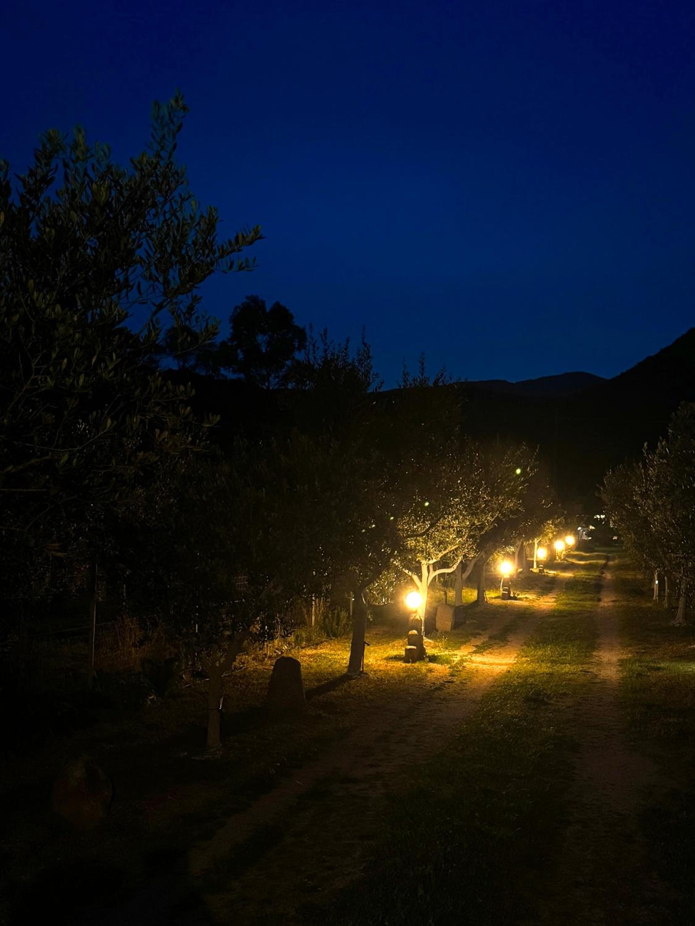 L'Uliveto HOLIDAY HOUSE