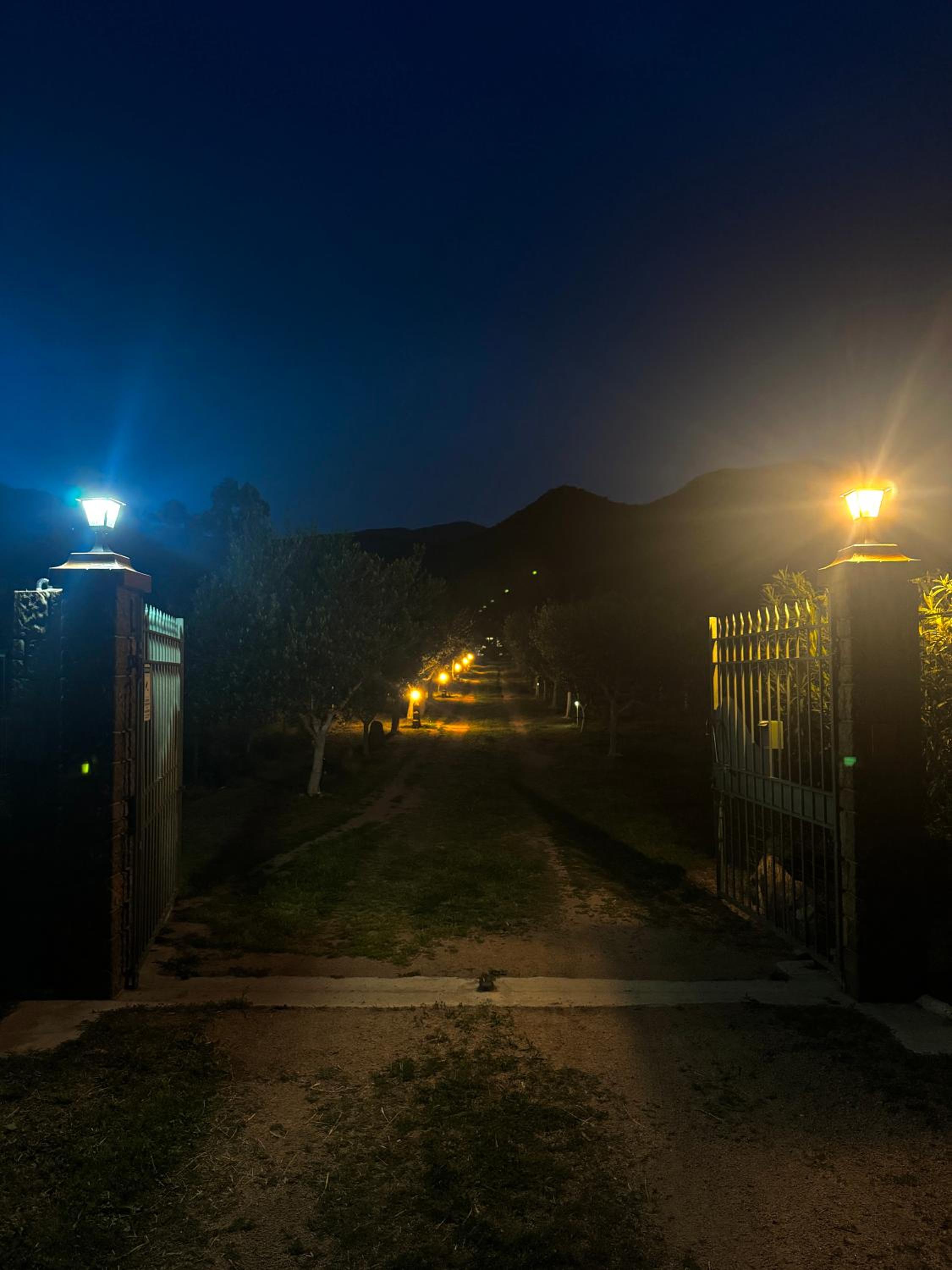 L'Uliveto HOLIDAY HOUSE