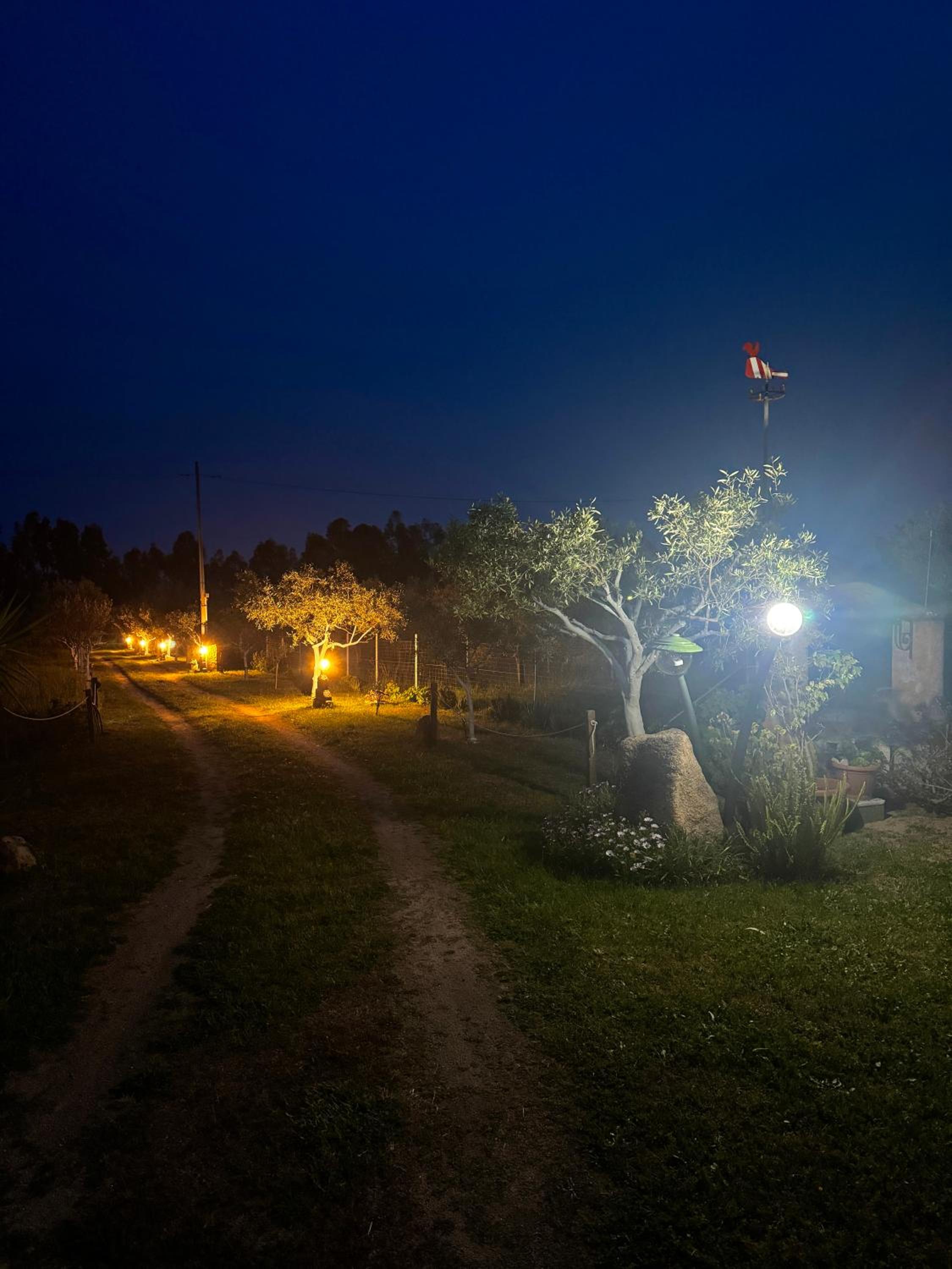 L'Uliveto HOLIDAY HOUSE