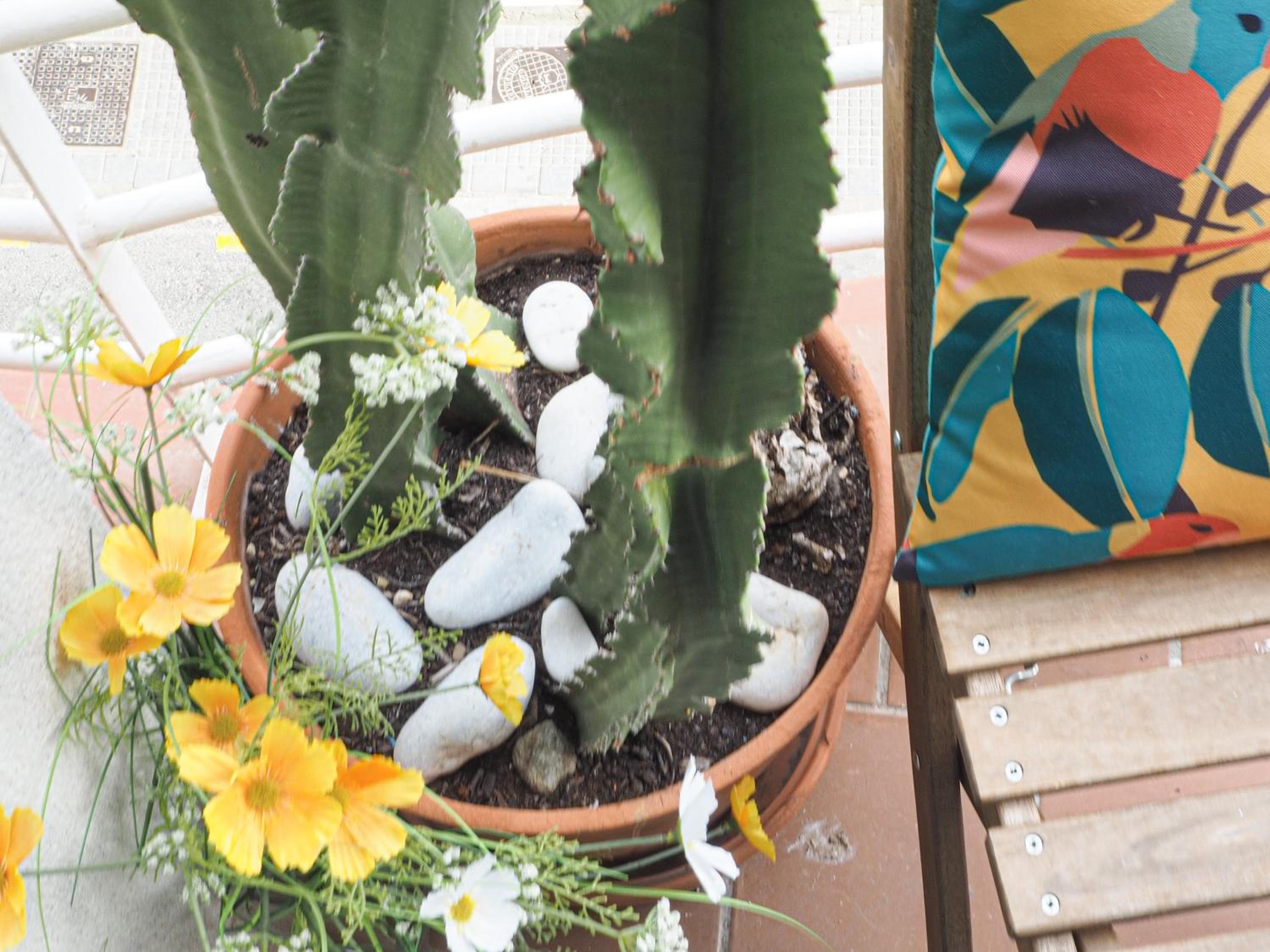 Ollerías 35 by Nagoa Homes