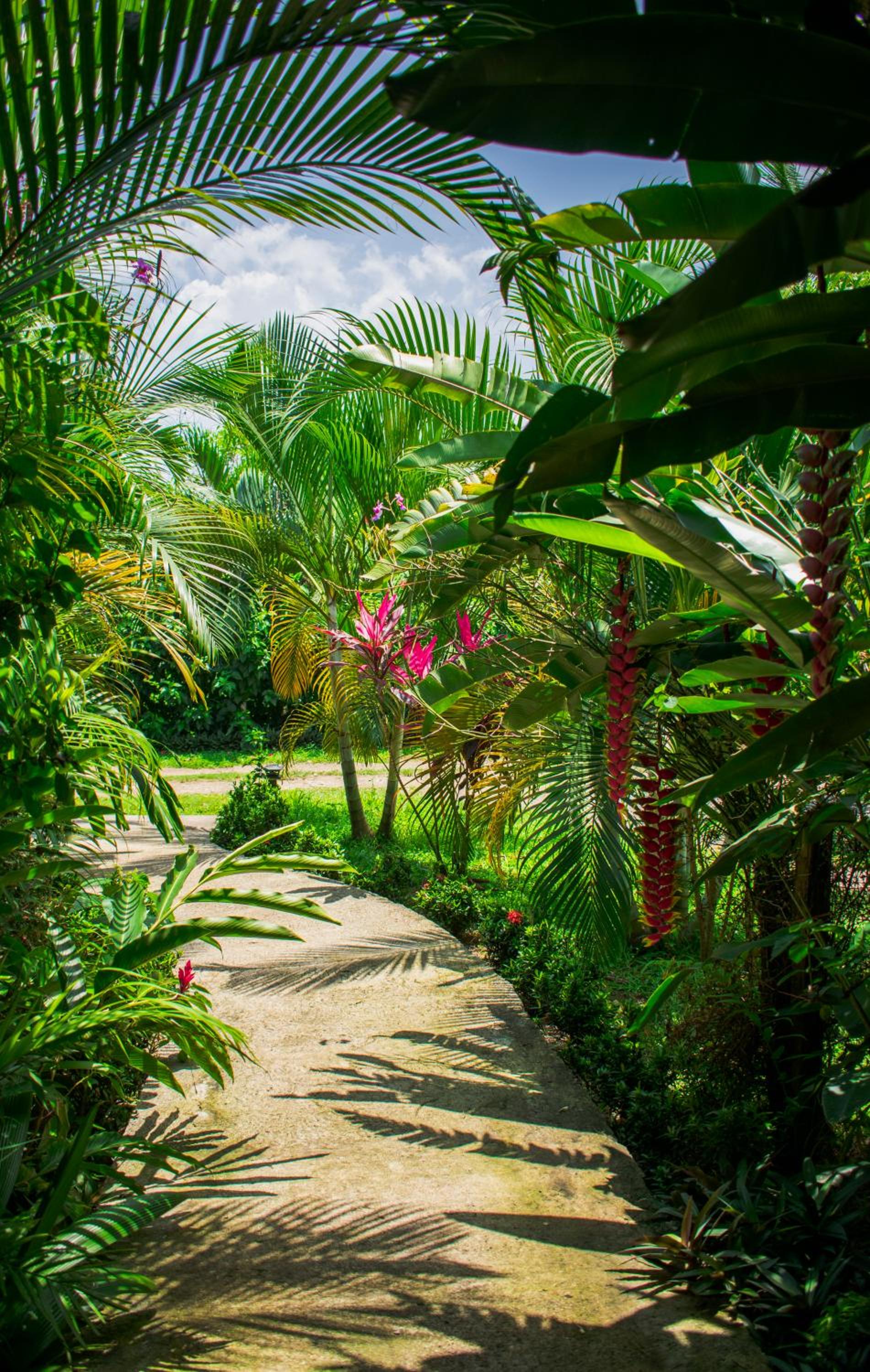 Arenal Descanso