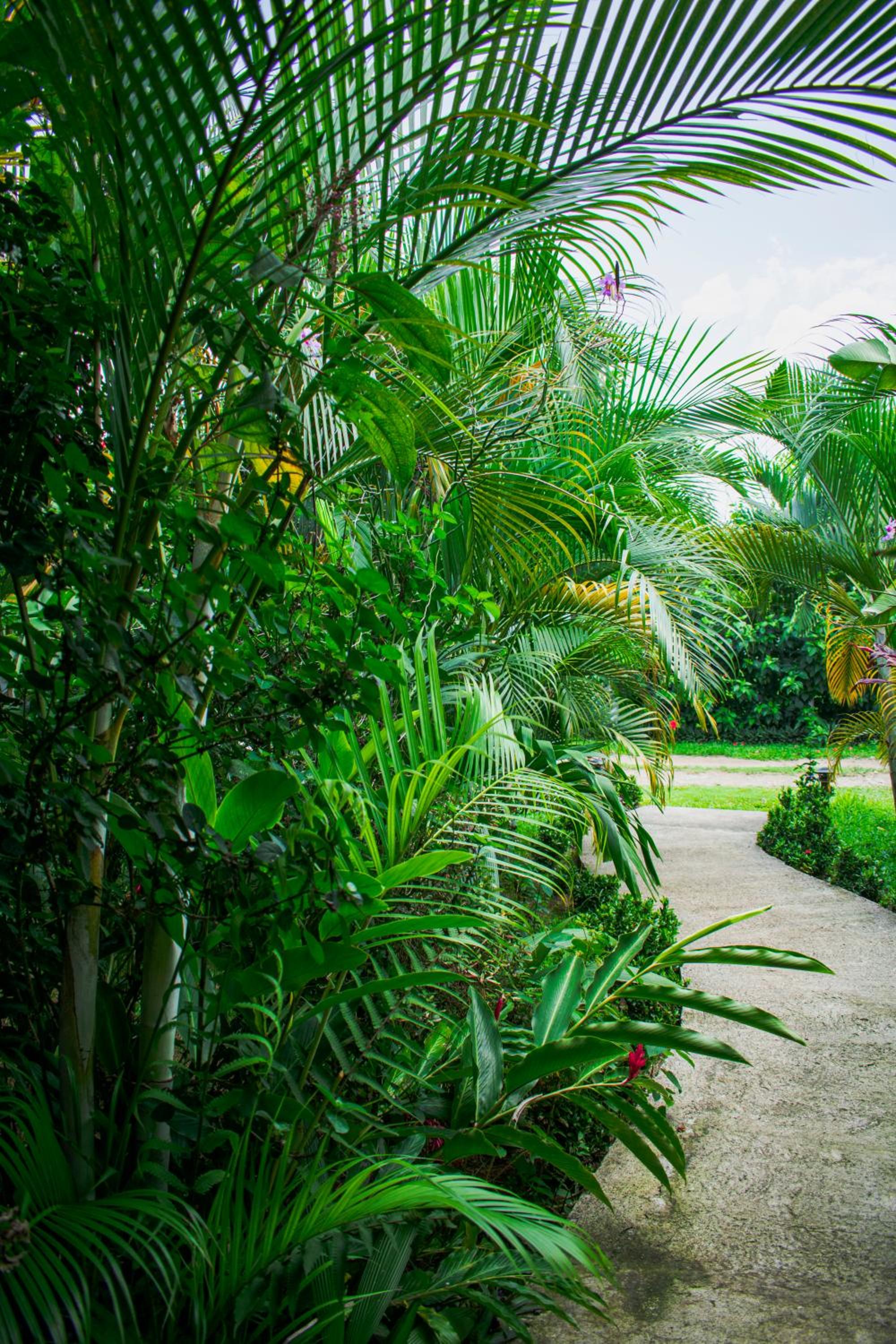 Arenal Descanso