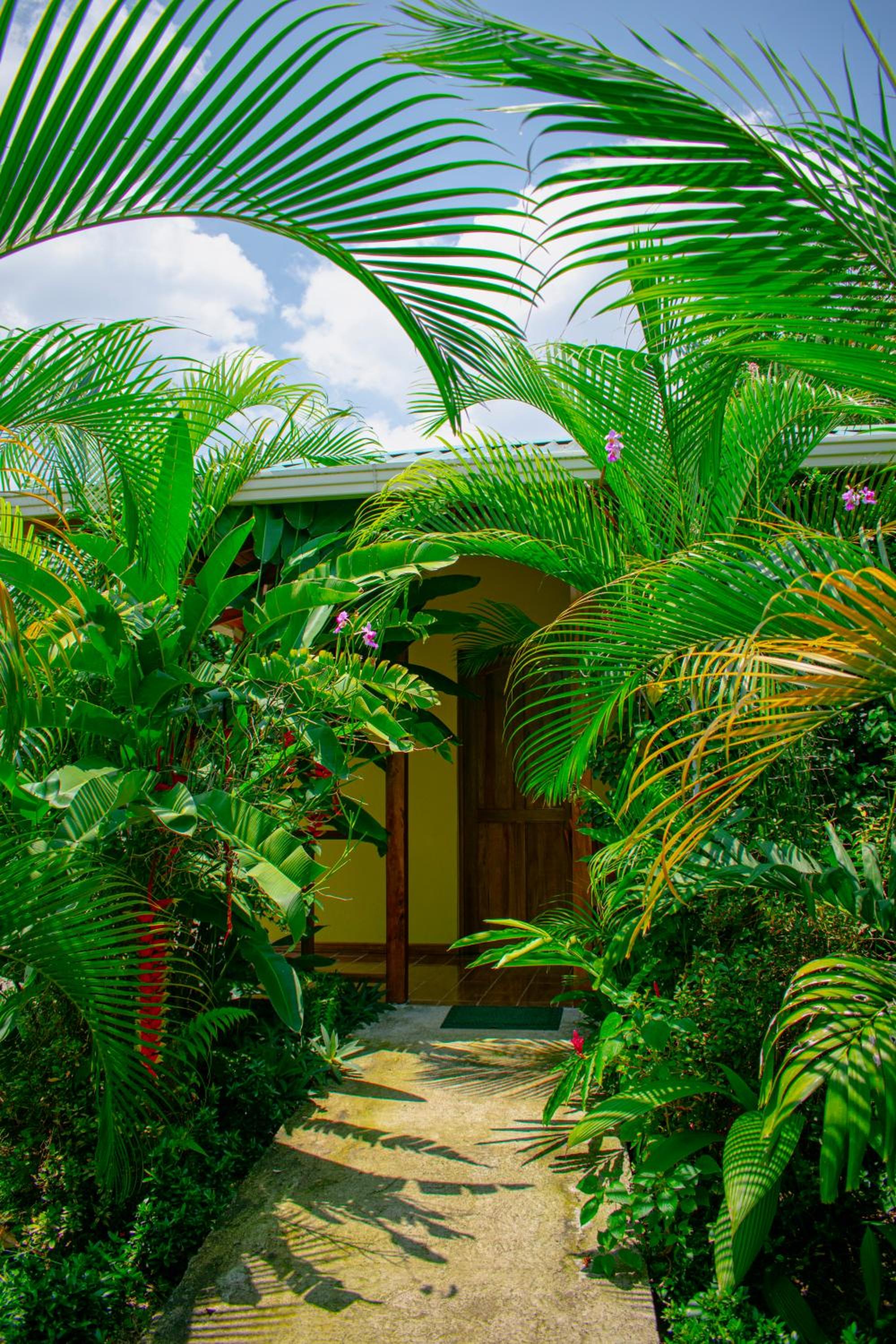 Arenal Descanso