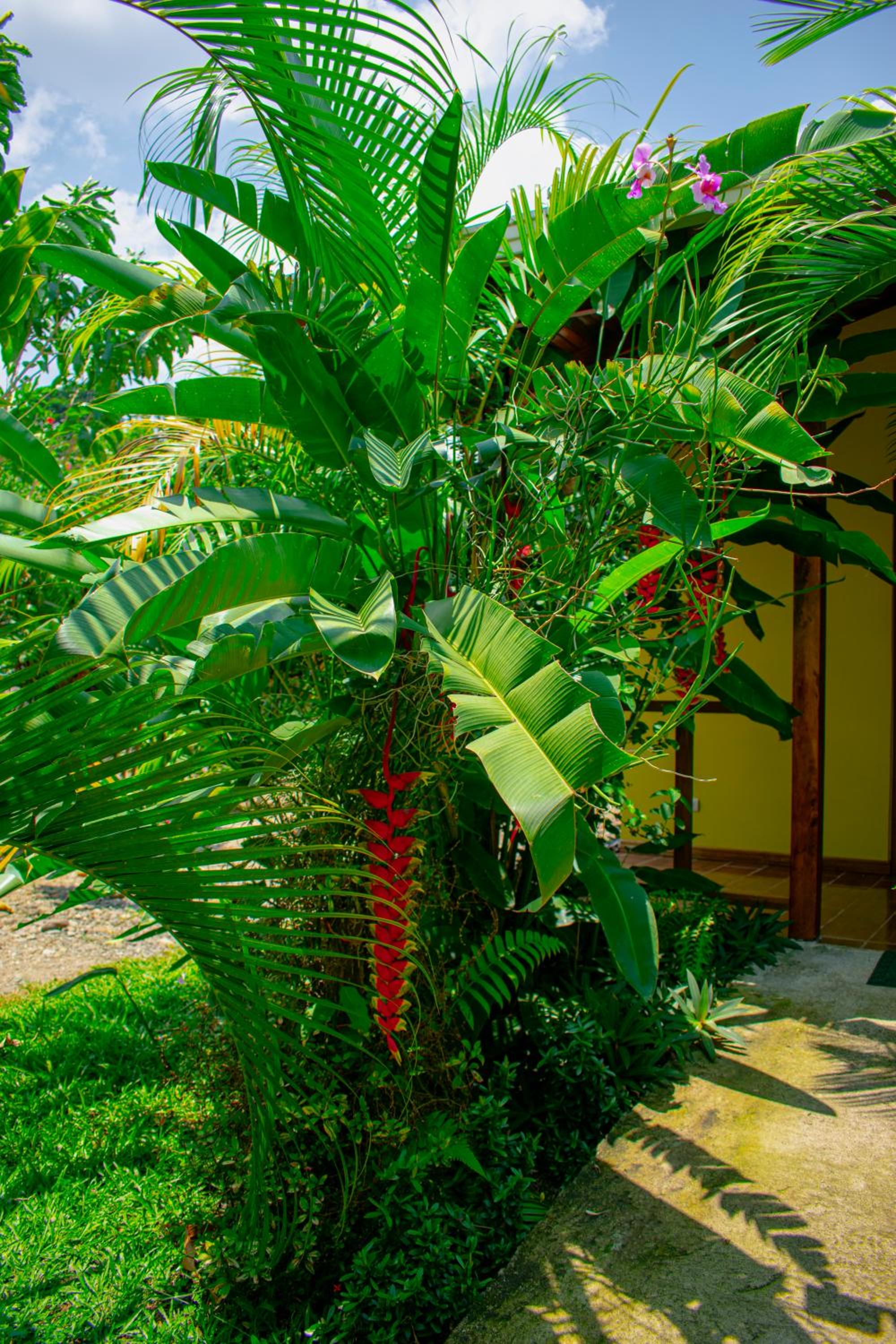 Arenal Descanso