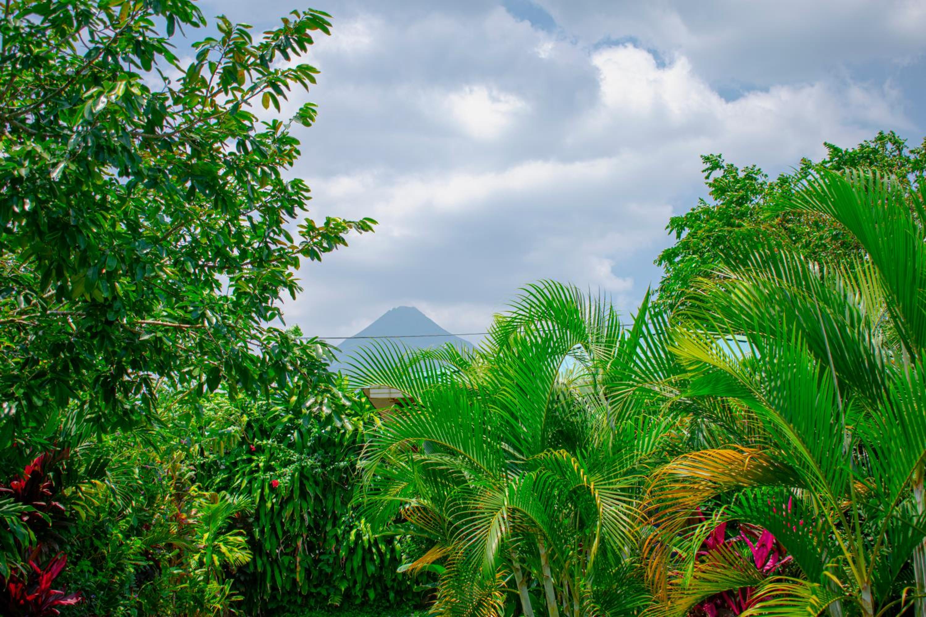 Arenal Descanso