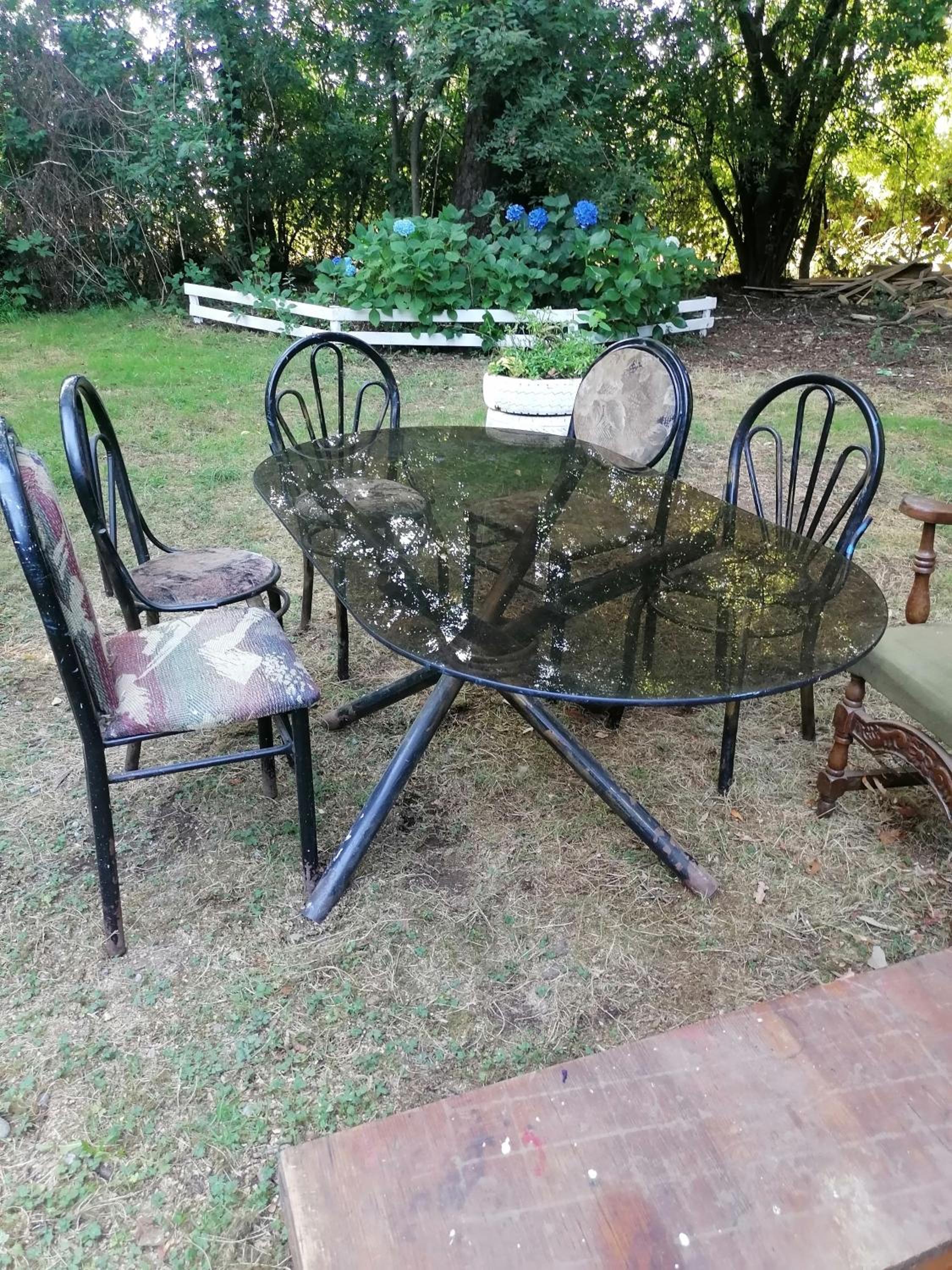 Cisnes del tolten