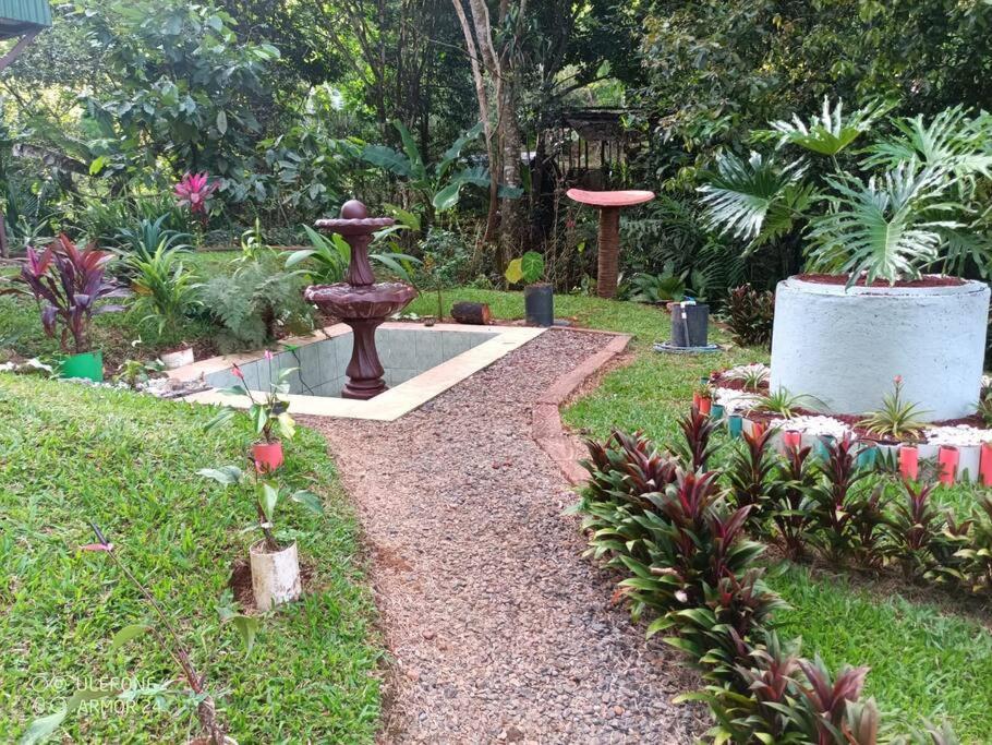 Tropical Quiet Retreat