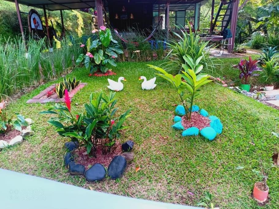 Tropical Quiet Retreat