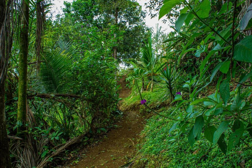 Tropical Quiet Retreat
