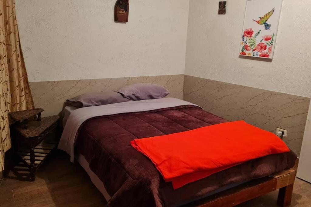 Hospedaje Las Bromelias - Mini Departamento