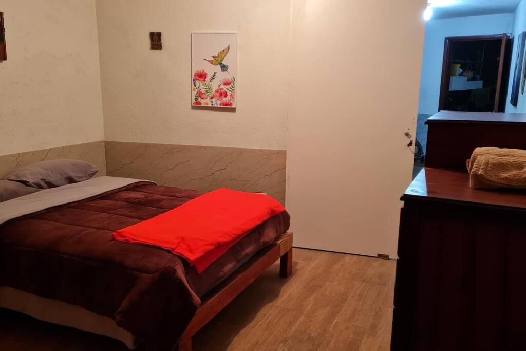 Hospedaje Las Bromelias - Mini Departamento