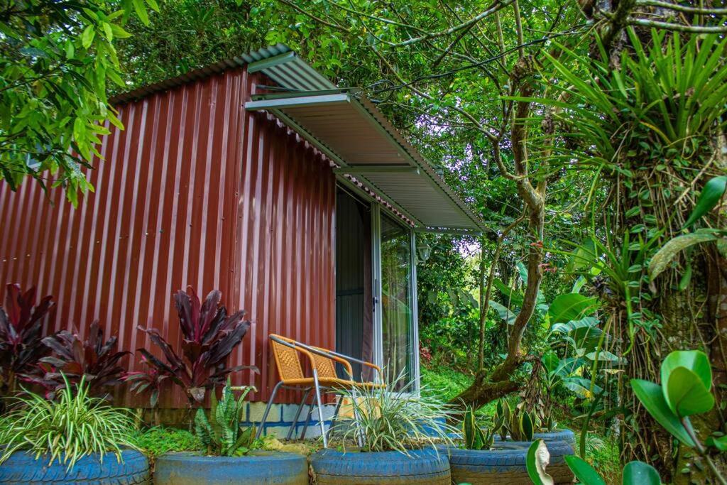Jungle Cabin w Pool & Nature Trails