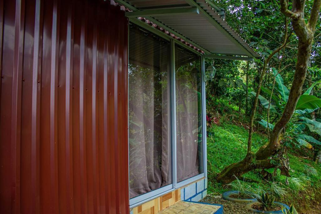 Jungle Cabin w Pool & Nature Trails