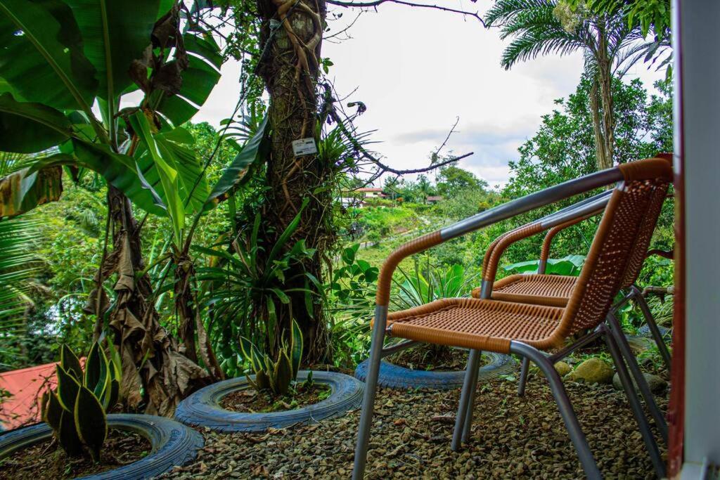 Jungle Cabin w Pool & Nature Trails