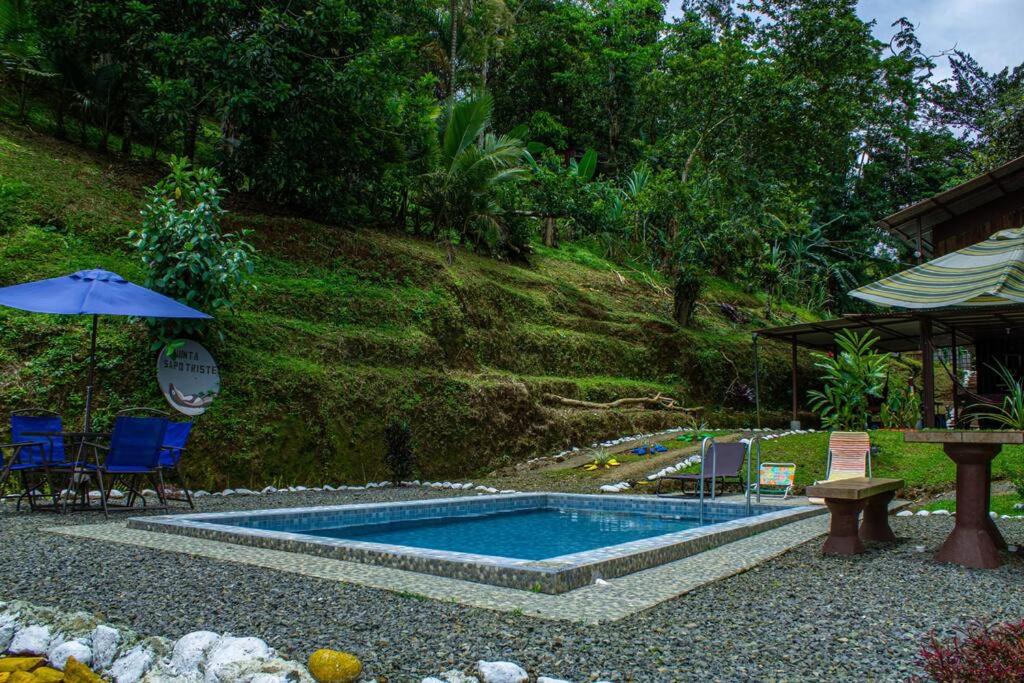Jungle Cabin w Pool & Nature Trails
