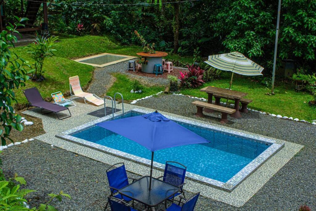 Jungle Cabin w Pool & Nature Trails