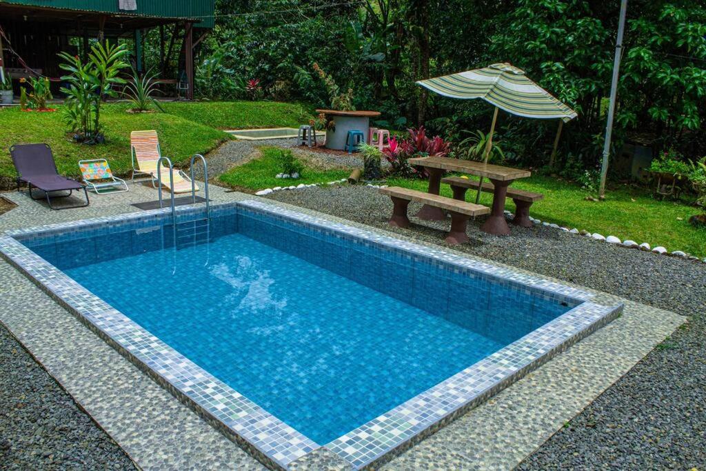 Jungle Cabin w Pool & Nature Trails