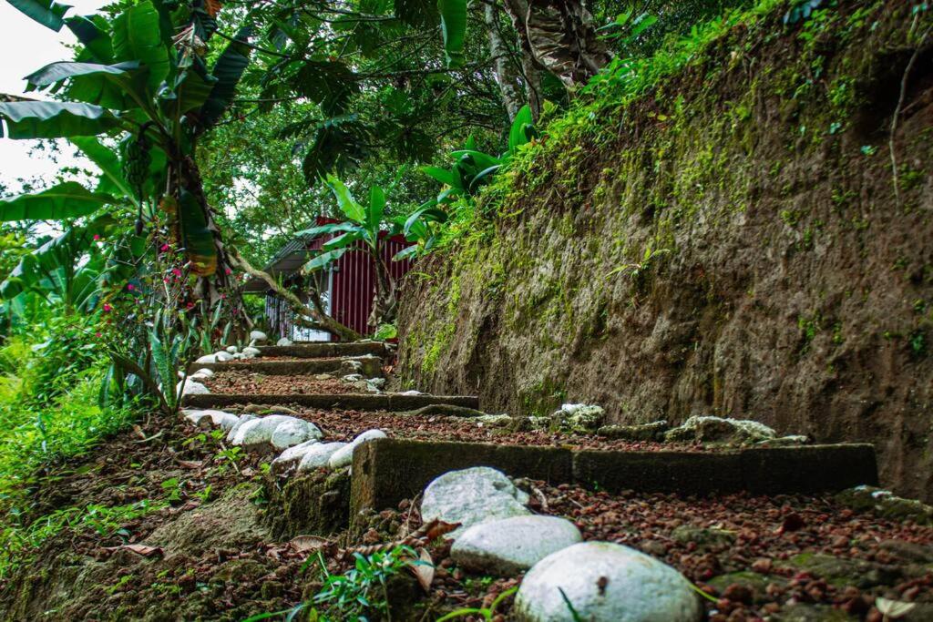 Jungle Cabin w Pool & Nature Trails