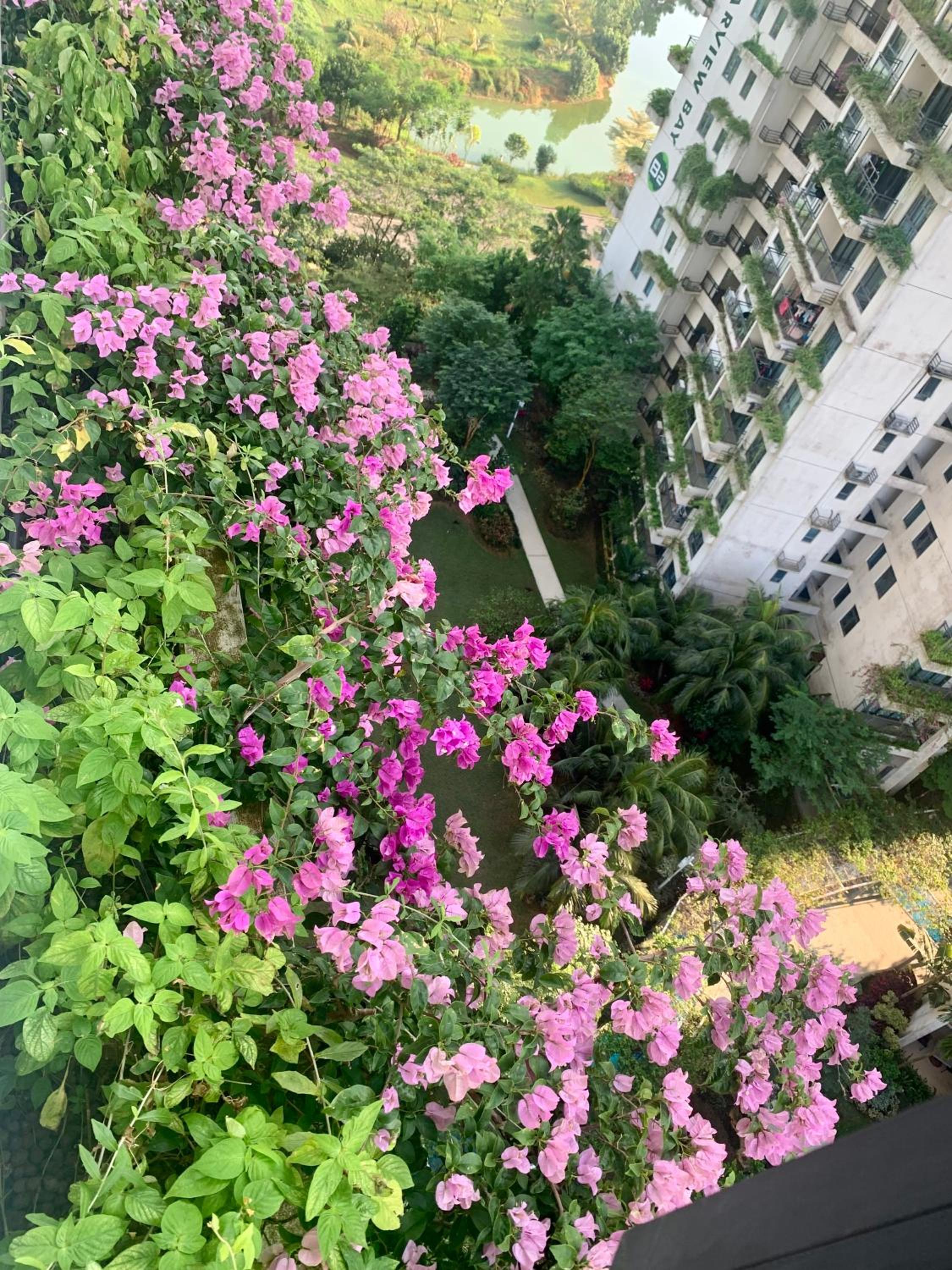 Colorful Seaview apartment Forestcity Johor Bahru Malaysia