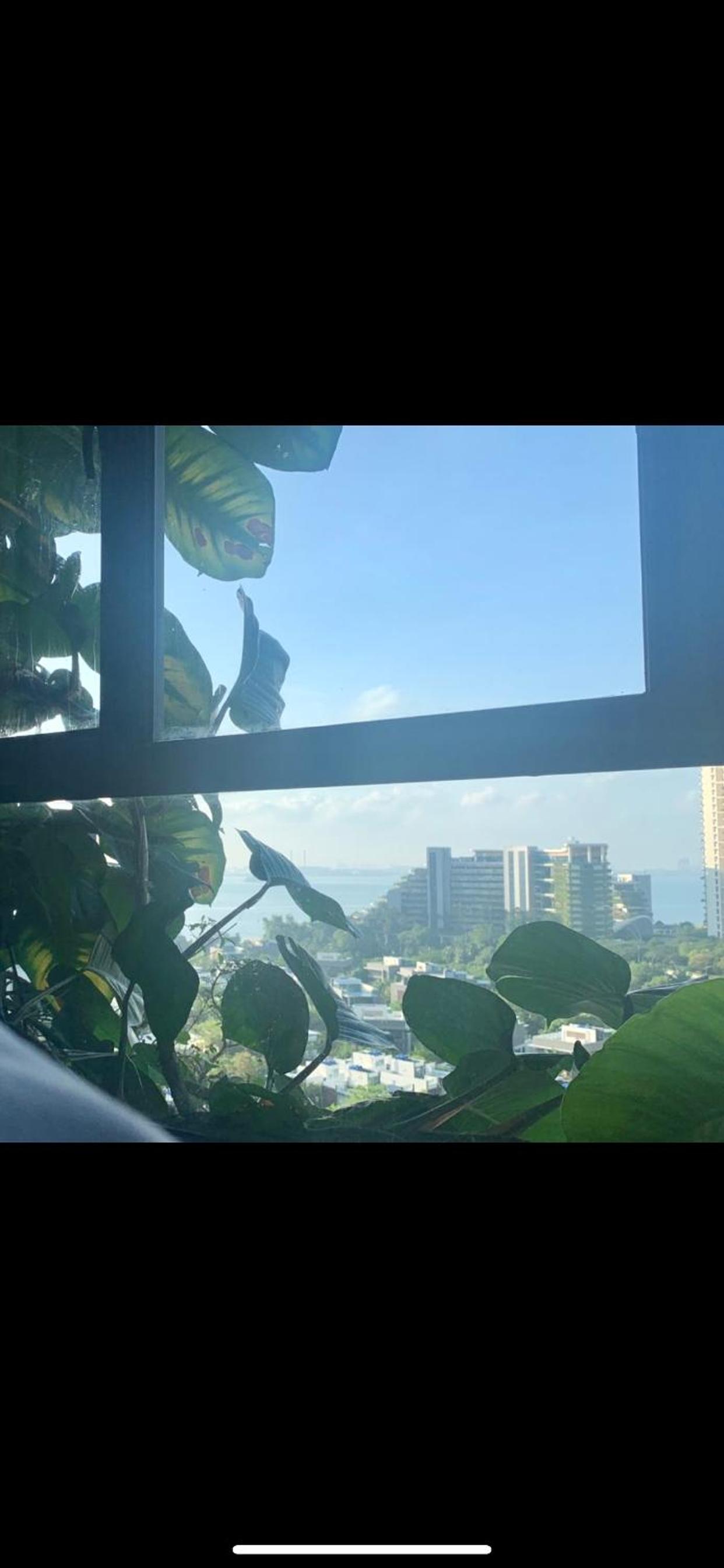 Colorful Seaview apartment Forestcity Johor Bahru Malaysia