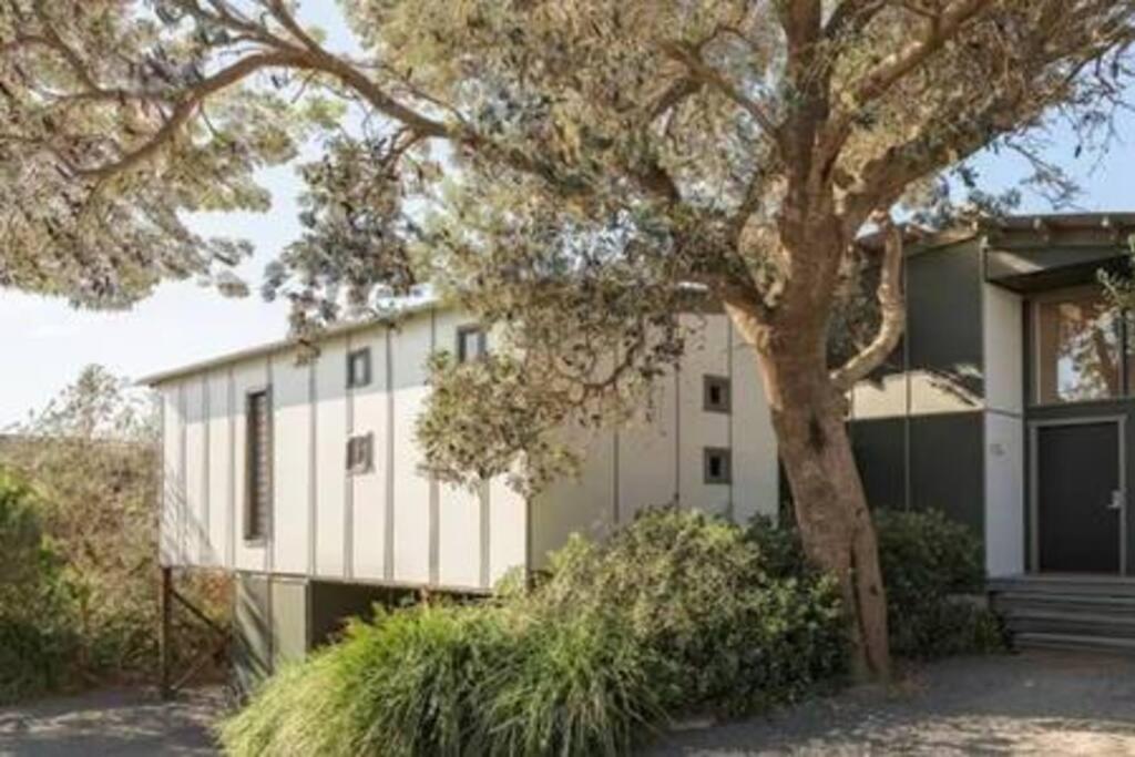 Culburra For Two Couples, No Kids, Yes Dogs