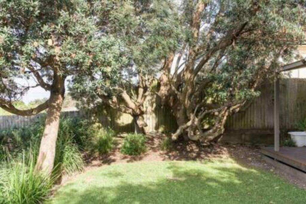 Culburra For Two Couples, No Kids, Yes Dogs