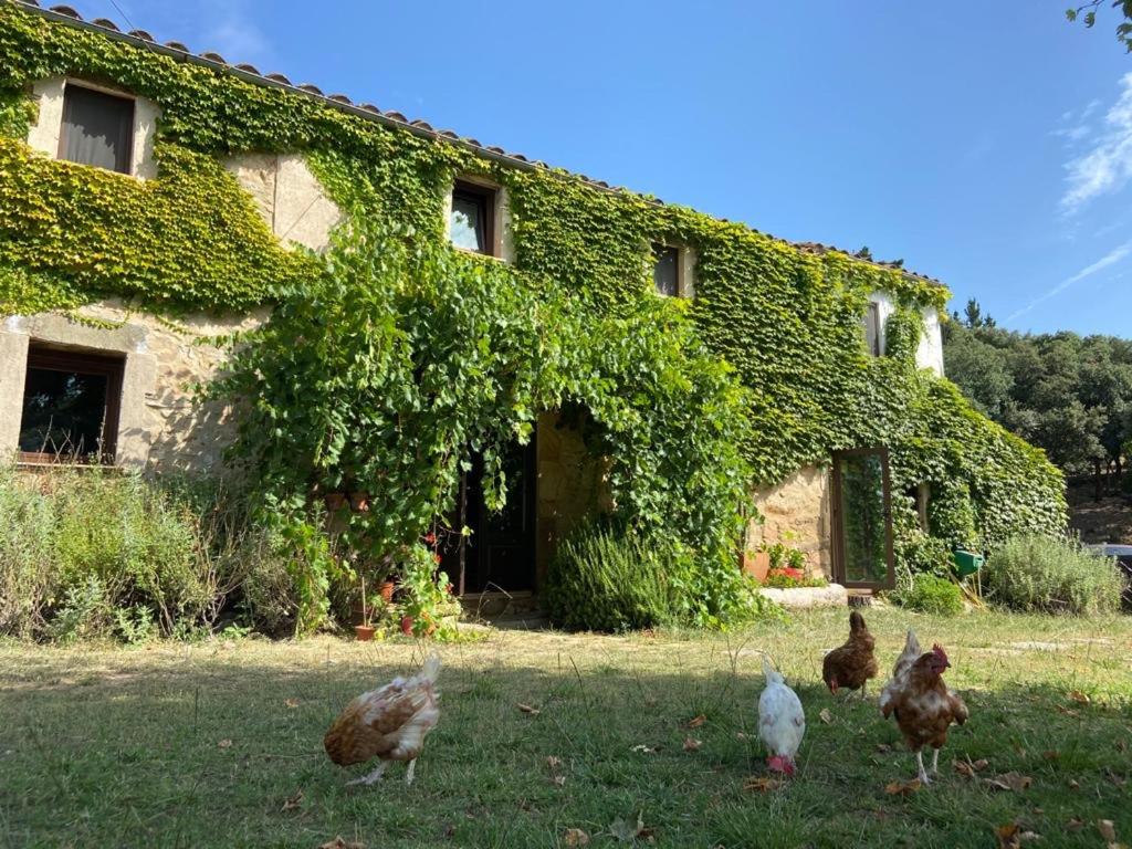 Can Canaleta Hotel Rural