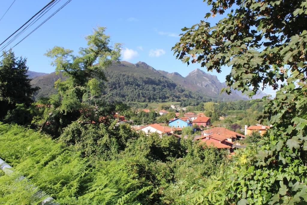 Acogedor bajo con terraza y vistas