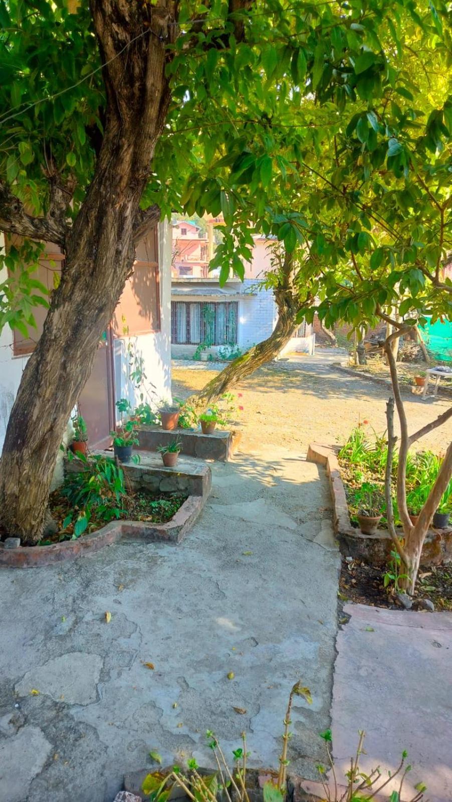 BANSIWALA HOMESTAYS