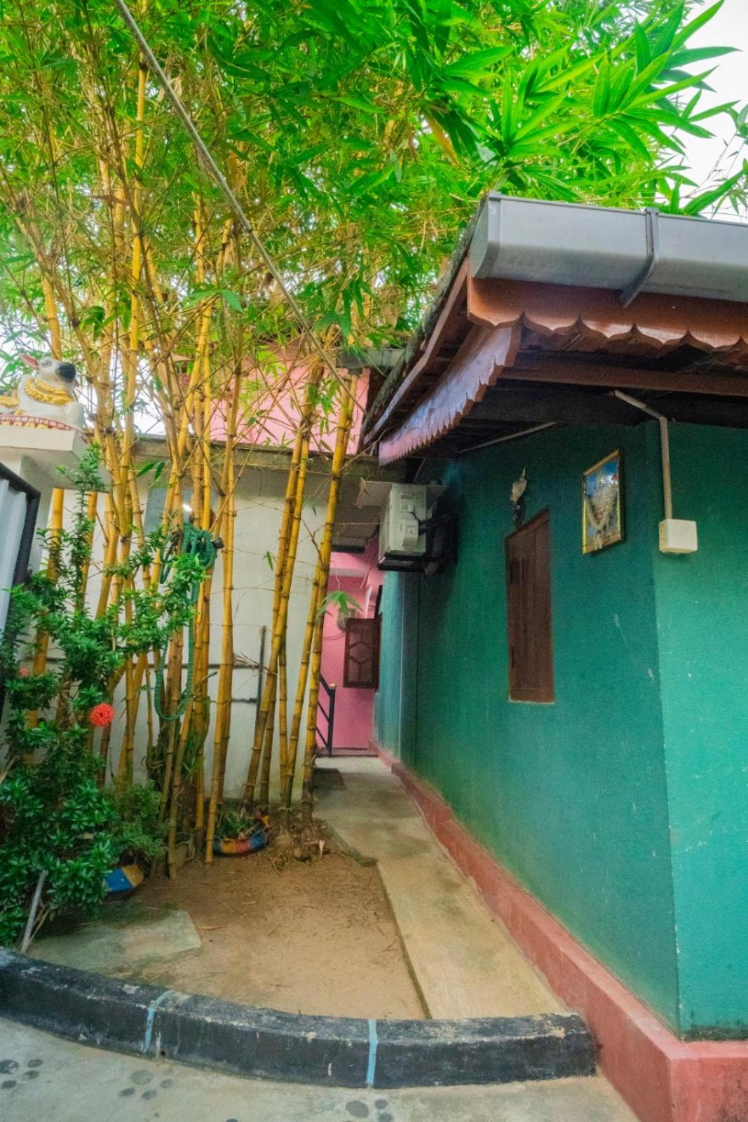Passi CK Homestay view 5